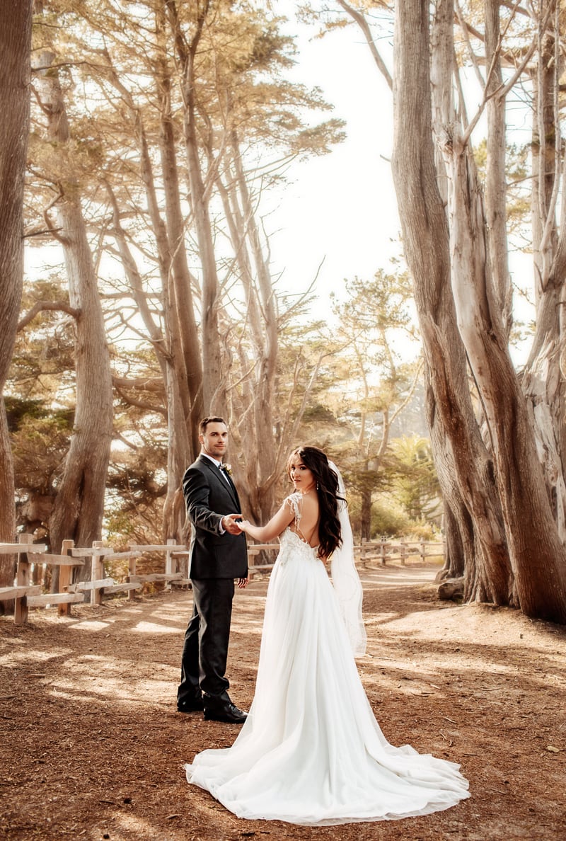 Wedding photographer, husband and wife in her wedding dress walk on a pathway beneath the trees
