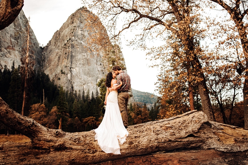 Elopement Photographer, a groom and bride in her dress stand on a fallen tree in the mountain forests