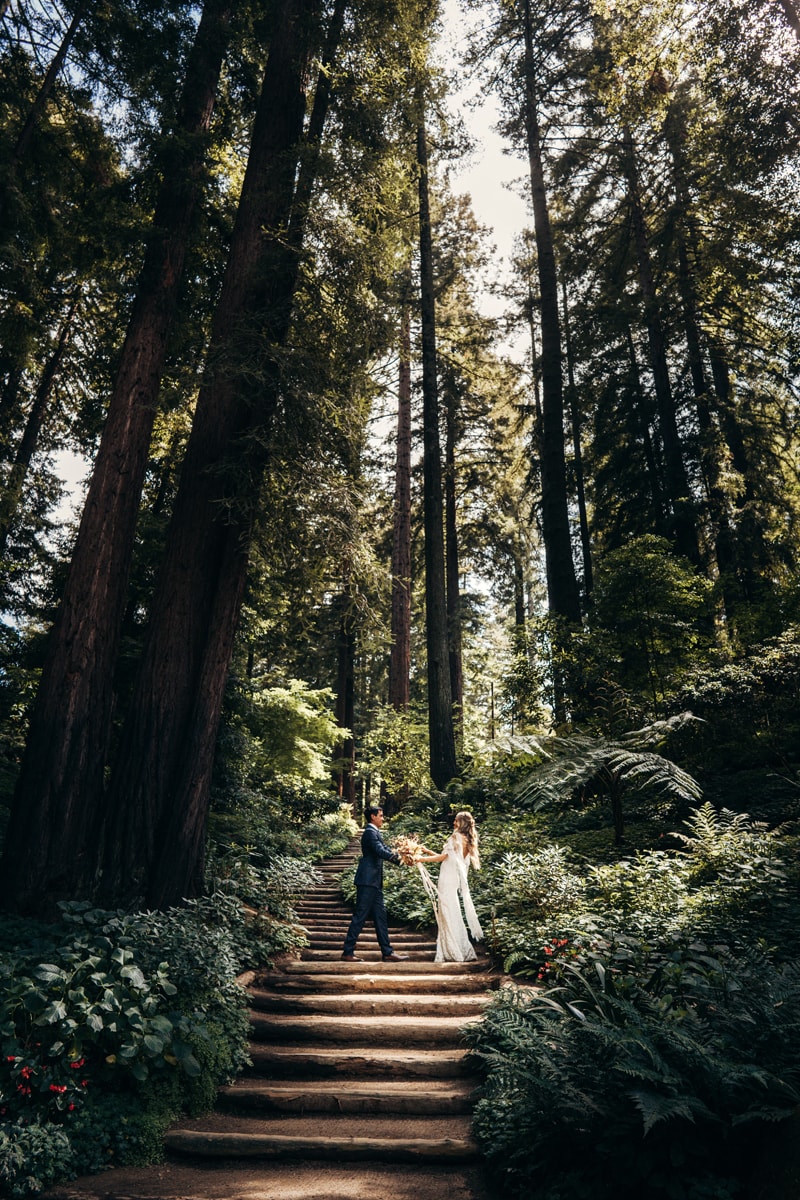 Elopement Photographer, bride and groom dance beneath towering redwoods